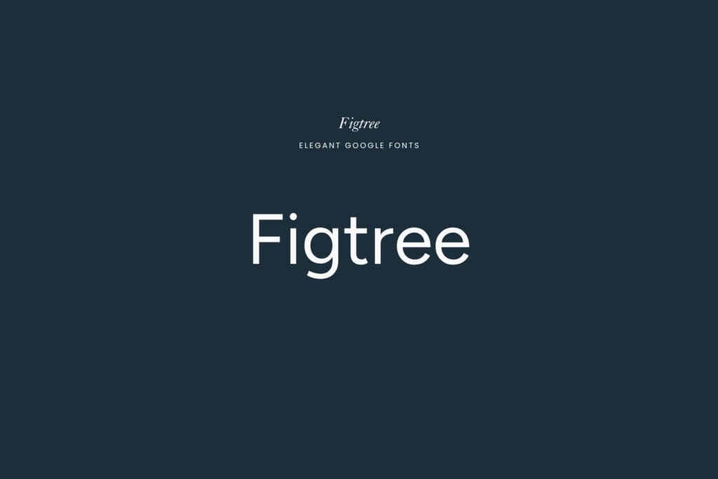 Figtree | An elegant Google Font. It is a geometric sans-serif that brings a soft elegance to clean layouts. 