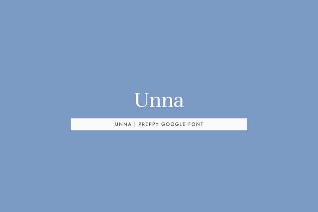 Unna - a preppy serif that is a clean, readable font with classical proportions.